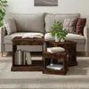 vidaXL Couchtische 3 Stk. Räuchereiche Holzwerkstoff Produktbild-Vorschau 2