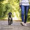Curli Stretch Comfort Leash, Pes, Štandardná vôdzka, Náhľad obrázku produktu 3