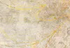 Carta da parati fotografica in tessuto non tessuto astratta Anteprima dell’immagine prodotto 4