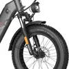 Fafrees FF20 Polar E-Bike Elektrofahrrad Doppelbatterie 20 Produktbild-Vorschau 8