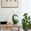 An aquarium is placed on a wooden desk next to a laptop and a glass of orange juice. A plant is on the right side of the desk. Náhled obrázku produktu