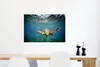 MuchoWow® Poster Schildkröte - Wasser - Blau 60x40 cm - Produktbild-Vorschau 5