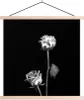 MuchoWow® Textilposter Rosen - Blumen - Schwarz - Weiß Produktbild-Vorschau 1