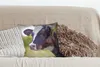 MuchoWow® Zierkissen Sofakissen Wohnzimmer Dekokissen 40x40 Produktbild-Vorschau 4