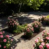 LZQ Teichzaun Gartenzaun Komplettset Metall 25 Produktbild-Vorschau 10