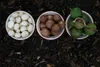 Kamelur® Bio Macadamia Bruch 1kg Produktbild-Vorschau 5