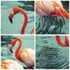 Poster - Poster ohne Rahmen - Rosa Flamingos Wasser - 50x50 Produktbild-Vorschau 8