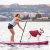 Kurgo Schwimmweste Surf N Turf Schwimmweste, Größe:M Produktbild-Vorschau 8