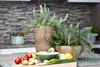 A kitchen counter with fresh ingredients and potted herbs. Produktbild-Vorschau
