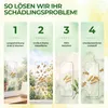 Fenster Fruchtfliegenfalle mit Spezial-Lockstoff – 9x Produktbild-Vorschau 7