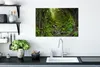MuchoWow® - Leinwandbilder - Natur - Wasser - Dschungel - Produktbild-Vorschau 3