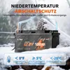 12V 100Ah H190 LiFePO4 Batterie DIN H8 mit Bluetooth 1280Wh Produktbild-Vorschau 3