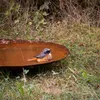 Kapaga - Miroir de jardin, coupe en acier, corten, diamètre Voir les images du produit 12