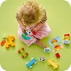 LEGO® Duplo 10412 Vláček se zvířátky Náhled obrázku produktu 14