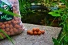 Bouillettes MK Coco Banane 20mm 5kg - Power Instant Boilie Voir les images du produit 2