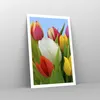 Poster - Poster ohne Rahmen - Tulpen Blumenstrauß Blumen Produktbild-Vorschau 7