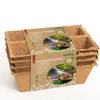 romberg VASI PER LA CRESCITA 10091104 6cm quadrati 24pcs Anteprima dell’immagine prodotto 5