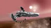 Darth Maul's Sith Infiltrator™ - Star Wars LEGO 75383 Productafbeelding-voorbeeld 10