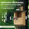 Waldfunk Nistkasten Halbhöhle für Rotkehlchen & Co. | Produktbild-Vorschau 2