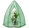 A green greenhouse tent with plants inside, set against a white background.