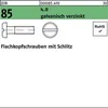 Reyher  85 Flachkopfschrauben M 6 x 8 m.Schlitz, Güte 4.8 Produktbild-Vorschau 1