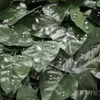A close-up view of artificial green leaves with water droplets on them. Anteprima dell’immagine prodotto