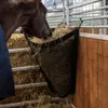A horse eating hay from a black hay bag in a stable. Anteprima dell’immagine prodotto