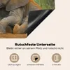 KitchenYeah© Herdabdeckplatte Elefant - Tiere - Sand - Produktbild-Vorschau 5