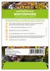 Artikelbild 2 von 'Winterkopfsalat Wintermarie' aus der Kategorie Kopfsalatsamen Produktbild-Vorschau