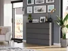 Komoda 120 cm 8 zásuvek skříňka FRAMIRE R-120-S8 antracit Náhled obrázku produktu 2