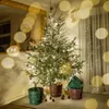 A Christmas tree with lights and decorations in a room, with several plant pots around its base. Voir les images du produit
