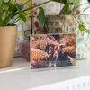 HMF Acryl Tischaufsteller DIN A4, Doppelseitiger T-Ständer Produktbild-Vorschau 10
