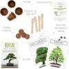 Bonsai Starter Kit Anzuchtset inkl. GRATIS eBook - Produktbild-Vorschau 2