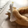 Aumüller Katzenspielzeug mit Baldrian - Gilbert Gans Produktbild-Vorschau 2