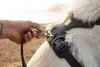 Ruffwear Front Range™ Hundegeschirr Produktbild-Vorschau 9