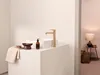 HANSA HANSAVANTIS Style Mitigeur de lavabo surélevé, sans Anteprima dell’immagine prodotto 3