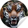 MuchoWow® - Mauerkreis - Wand Bilder - Wandsticker - Produktbild-Vorschau 1