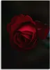 Tableau sur toile rose sur fond noir 60x90 cm Feeby rouge Voir les images du produit 3