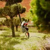 A hedge trimmer is shown resting on the grass next to a small tree in a garden setting. Voir les images du produit