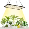 A grow light illuminates a collection of potted houseplants arranged on a surface. Náhled obrázku produktu