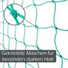 Ranknetz mit großer Maschenweite für besonders ertragreiche Produktbild-Vorschau 4
