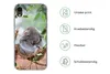 MuchoWow® Handyhülle Schutzhülle Hülle für iPhone XR Koala Produktbild-Vorschau 7