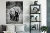 MuchoWow® Poster Elefanten in Kenia - schwarz und weiß Produktbild-Vorschau 4