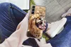 MuchoWow® Handyhülle Schutzhülle Hülle für Samsung Galaxy Produktbild-Vorschau 3