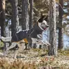 Hurtta Mudventure Coat ECO giacca antipioggia, Anteprima dell’immagine prodotto 4