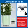 8er Set Möbelrollen Kugelrollen Selbstklebende Universal Produktbild-Vorschau 3