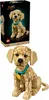 LEGO Icons 11384 Golden Retriever Welpe Anteprima dell’immagine prodotto 29