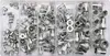 A clear, overhead shot of a plastic organizer box filled with various sizes of aluminum rivet nuts. Anteprima dell’immagine prodotto