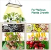 A collage showing a grow light illuminating plants, and before-and-after comparisons of various plants and fruits. Náhled obrázku produktu