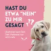 nimo® Ohrenreiniger | für Hunde, Katzen & Haustiere mit Produktbild-Vorschau 4